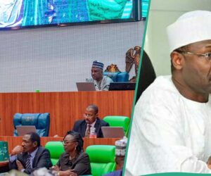 Live Updates: INEC Holds Bye-Elections in Kaduna, Ogun, Others