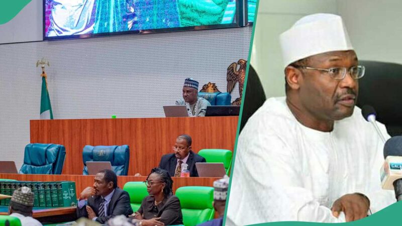 Live Updates: INEC Holds Bye-Elections in Kaduna, Ogun, Others