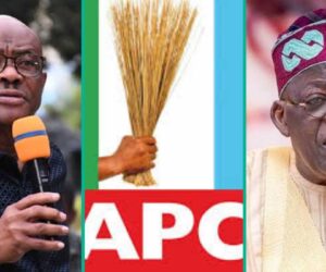 Loss in Rivers Election: Full list of Local Government where APC Lost Announced