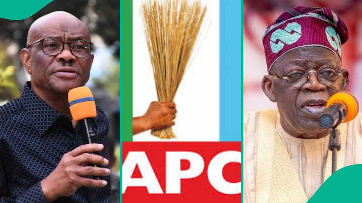 Loss in Rivers Election: Full list of Local Government where APC Lost Announced