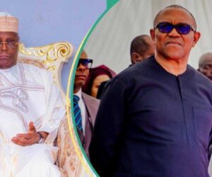 2027 Election: 3 Things That Could Happen if Peter Obi Steps Down for Atiku