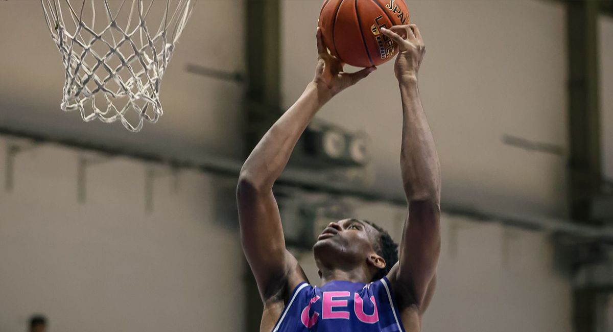 Nigerian basketball player dies during training