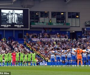 Brighton fan tragically d!es after falling ill in the stands during Premier League match with Fulham