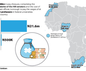 109 senators’ pay enough for 4,708 professors’ salaries – Daily Trust