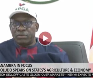 Soludo: Anybody Promising One Term in Anambra Must Have a Mental Issue