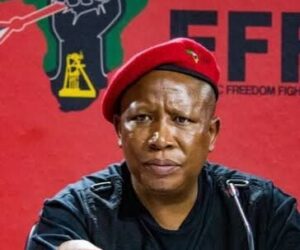 At NBA Confab, Malema Recalls Nigeria’s Support For South Africa During Darkest Hours