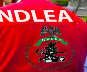 NDLEA Arrests Drug Kingpin, Airport Syndicate for Frame-Up of Three Innocent Pilgrims to Saudi