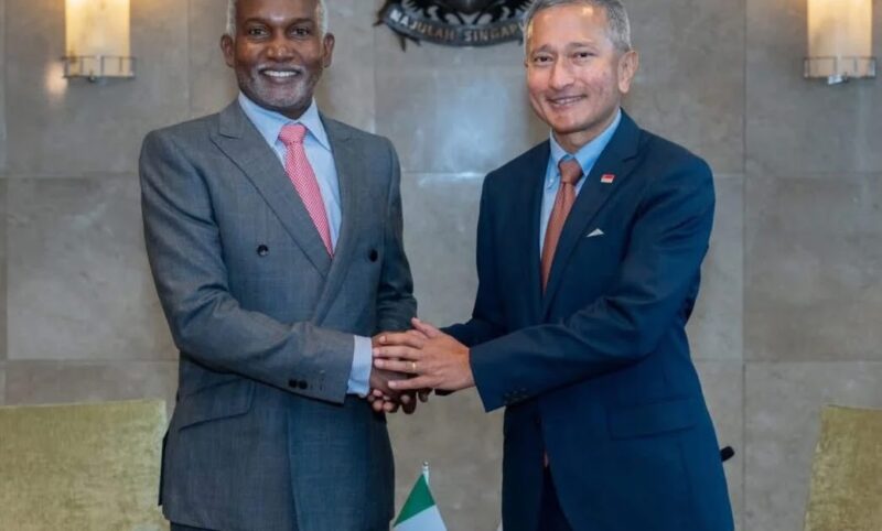 Nigeria, Singapore sign bilateral treaty to deepen economic partnership