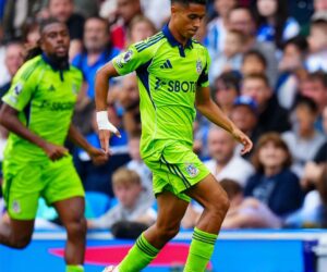 Bassey Gets Very Good Rating In Fulham’s Draw Vs Brighton