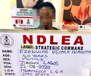 NDLEA Arrests Widow Using Fake Pregnancy to Smuggle Cocaine