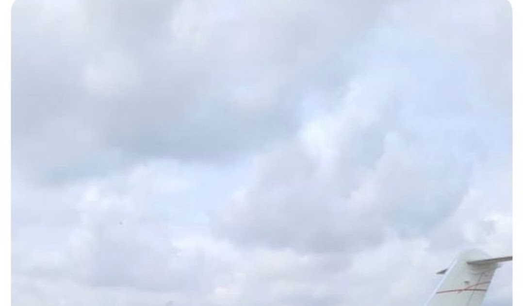 Davido’s Family Expands Fleet with Third Private Jet