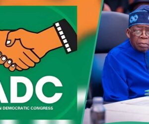 Tinubu Told to Declare State of Emergency in 2 Nigerian States, Analyst Explains Why