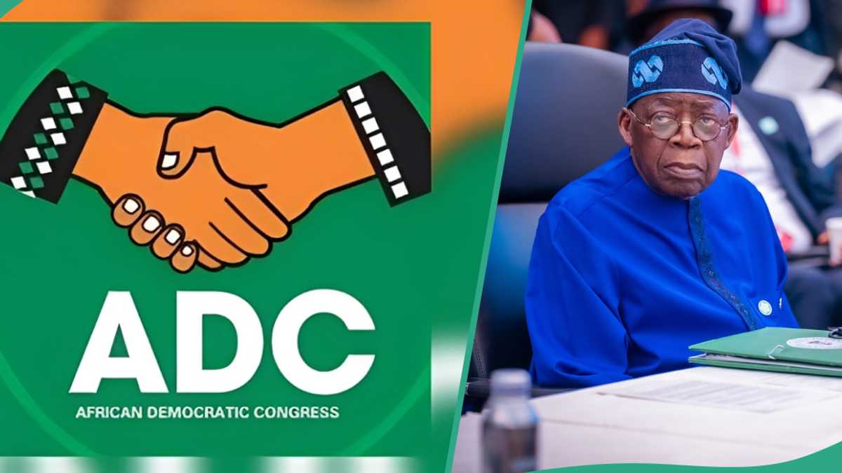 Tinubu Told to Declare State of Emergency in 2 Nigerian States, Analyst Explains Why