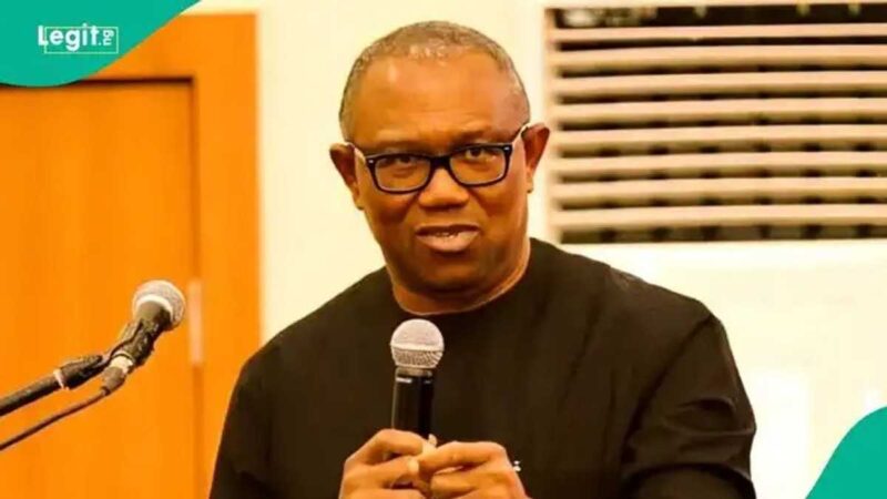 Anambra Youths Condemn Politicians’ Verbal Attacks on Peter Obi, Threaten Consequences