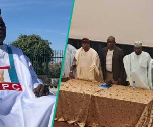 2027 Election: Fates of Tinubu, PDP, ADC, Labour Party Predicted