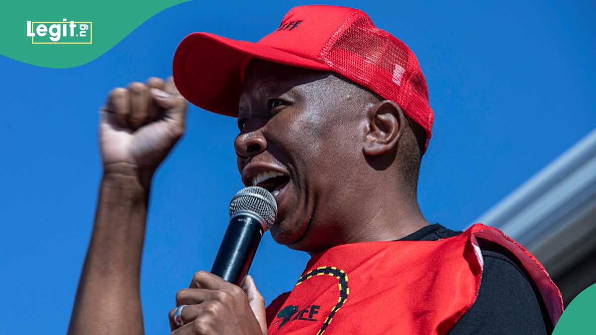 2027 Elections: Malema Proposes Single African Presidency, “We Don’t Care What Trump Thinks”