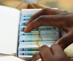 By-election: Edo voters attack PDP agent for carrying PVCs