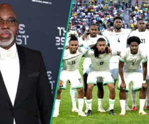 2026 FIFA World Cup: Amaju Pinnick Confident Super Eagles Will Qualify