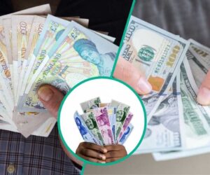CBN Crashes Dollar With $29 Million Intervention in FX Market