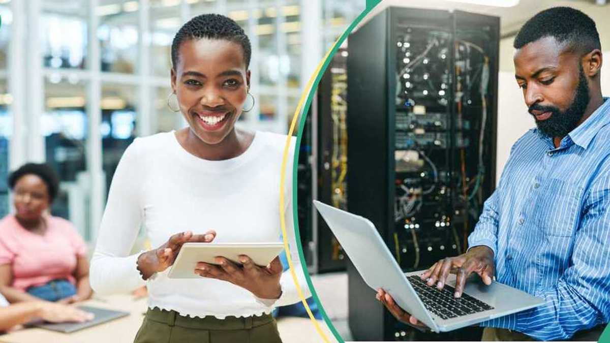 Top 5 Free Career-boosting Skills to Learn for High-income in 2025