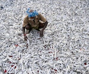 Indian readies for punishing US tariffs