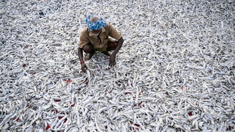 Indian readies for punishing US tariffs