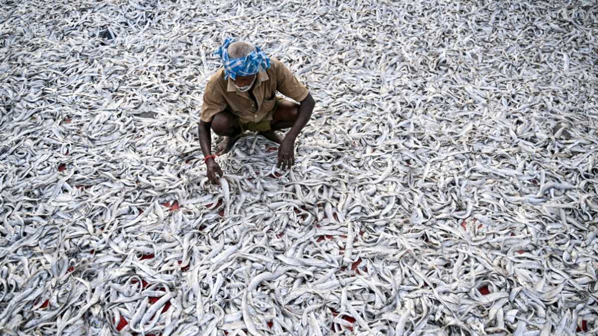 Indian readies for punishing US tariffs