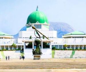 NASS faces tough scrutiny as new data reveals dozens of lawmakers did nothing in 1 year
