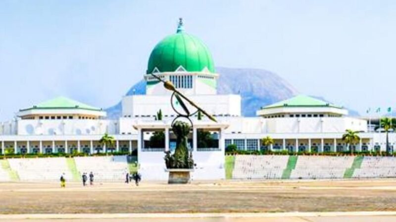 NASS faces tough scrutiny as new data reveals dozens of lawmakers did nothing in 1 year