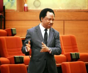 not everything on your mind belongs online – Shehu Sani warns youths