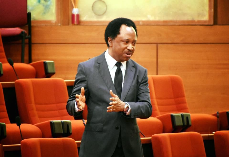 not everything on your mind belongs online – Shehu Sani warns youths