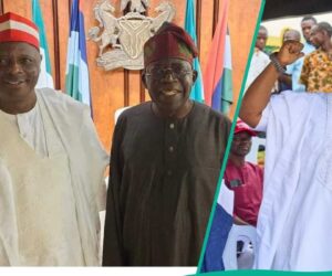 NNPP Guber Candidate, Ajadi, Reacts to Tinubu, Kwankwaso Meetings