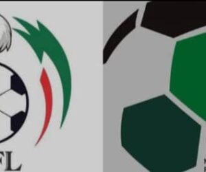 NANPF Pledges Player Education On NPFL Rules