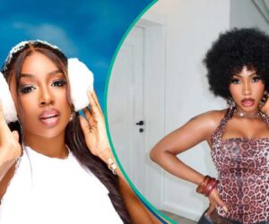 Tolanibaj Says Reason Ex-Housemate Shunned BBN All Star Reunion, Mercy Eke Reacts, Names Her Price
