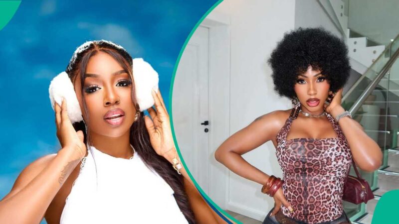 Tolanibaj Says Reason Ex-Housemate Shunned BBN All Star Reunion, Mercy Eke Reacts, Names Her Price