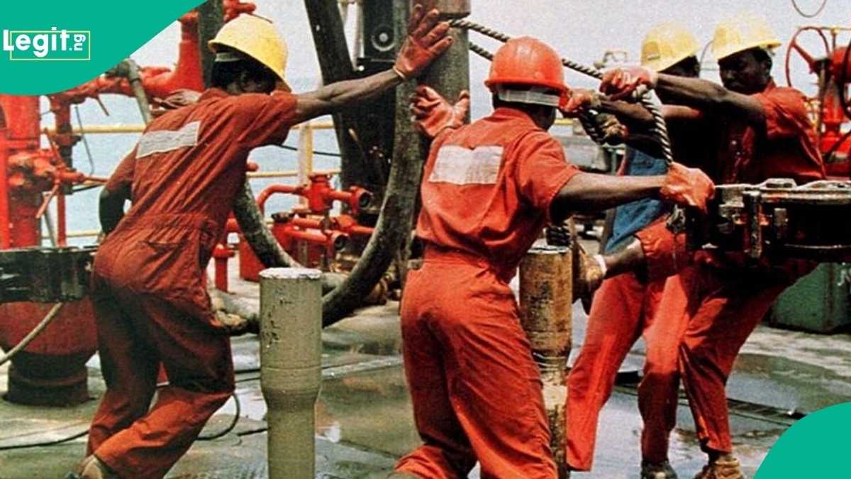 Nigerian Billionaire Company Promises To Revive 100 Oil Wells in 100 Days