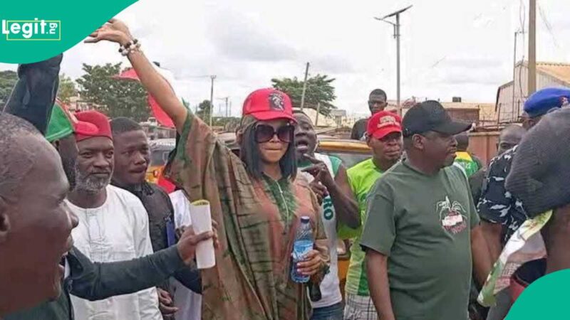 Breaking: House of Reps Candidate Allegedly Abducted, PDP Raises Alarm