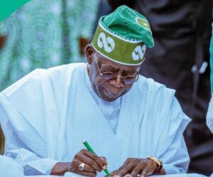 Breaking: Tinubu Bans Export of Popular Nigerian Farm Produce