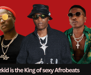 Ayra Starr calls Wizkid the King of sexy Afrobeats: Here's why we agree