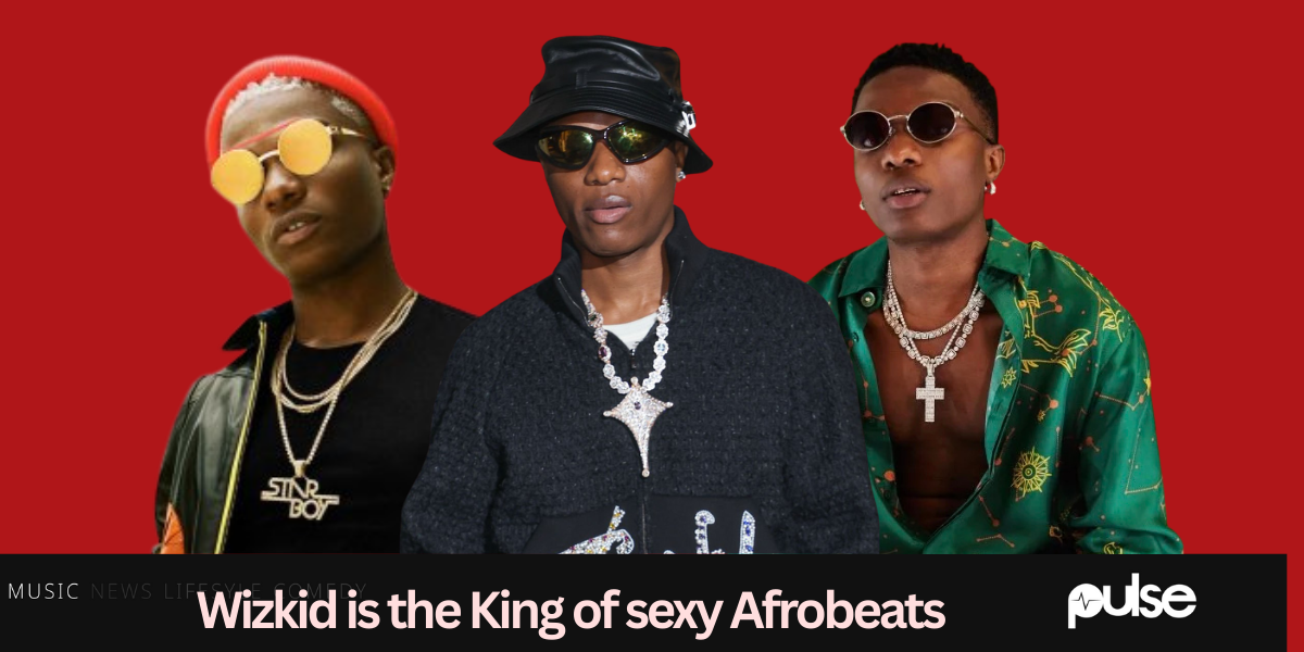 Ayra Starr calls Wizkid the King of sexy Afrobeats: Here's why we agree