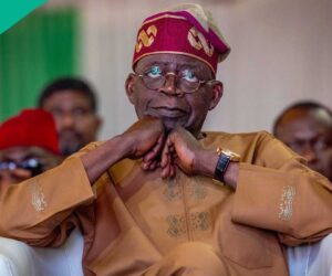 FG Finally Restructures Electricity Industry, Announces Transmission Company’s New Model