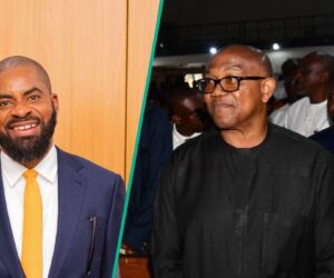 Peter Obi’s Ally Speaks Out as Adeyanju Claims Opposition Leader Offered Him Money During Campaign
