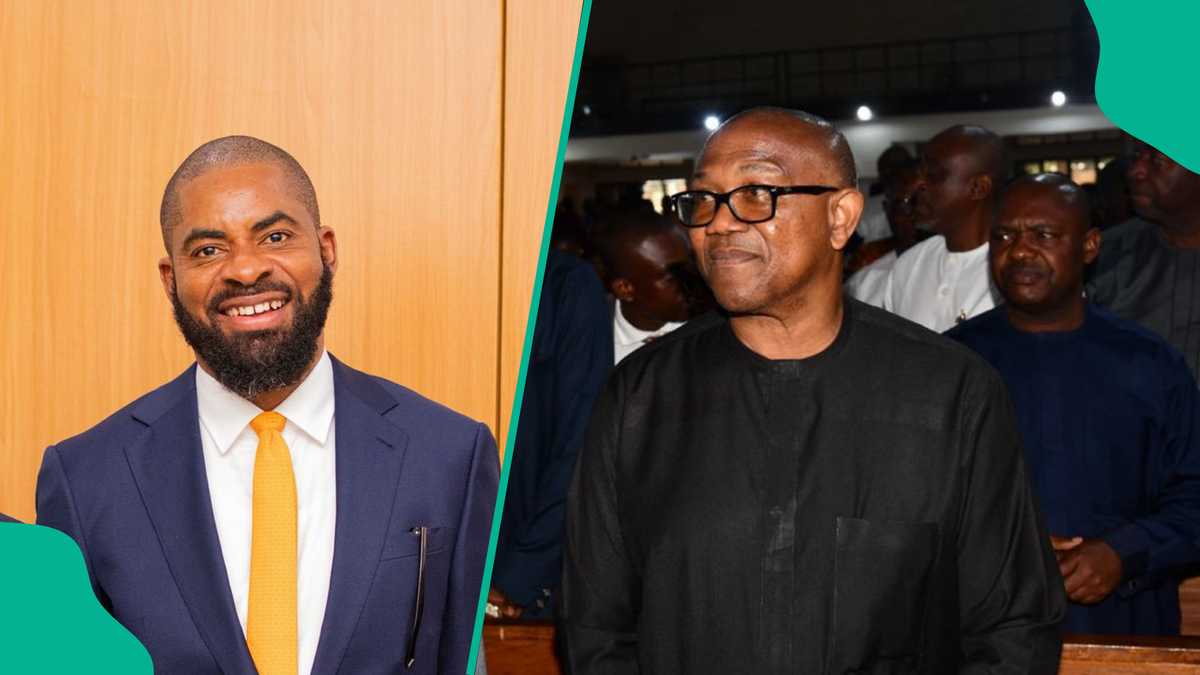 Peter Obi’s Ally Speaks Out as Adeyanju Claims Opposition Leader Offered Him Money During Campaign