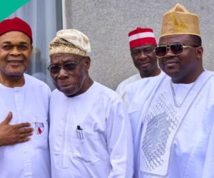 Will NNPP Collapse Structure For ADC? Ogun Guber Candidate Reacts