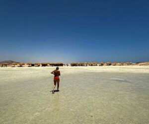 Tourism deal puts one of Egypt’s last wild shores at risk