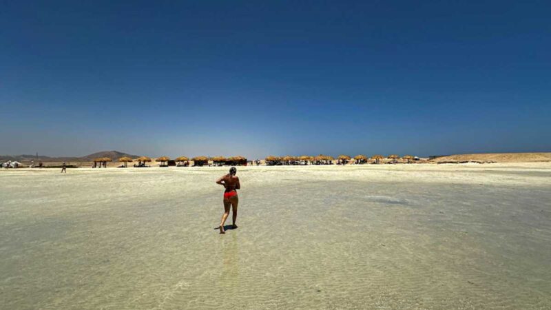 Tourism deal puts one of Egypt’s last wild shores at risk