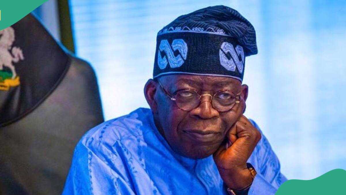 2027 Election: Will North Vote Against Tinubu? Top APC Chieftain Speaks
