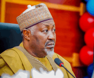 Minister of Defence polling unit stirs fresh controversy in Jigawa bye-election