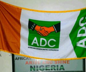 Insecurity: ADC seeks state of emergency in Katsina, Zamfara