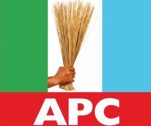 APC wins Remo federal constituency by-election in Ogun